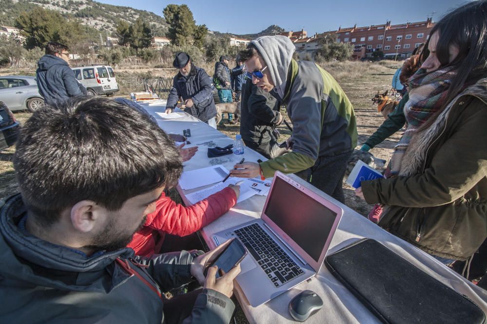 Canicross solidario en Alcoy