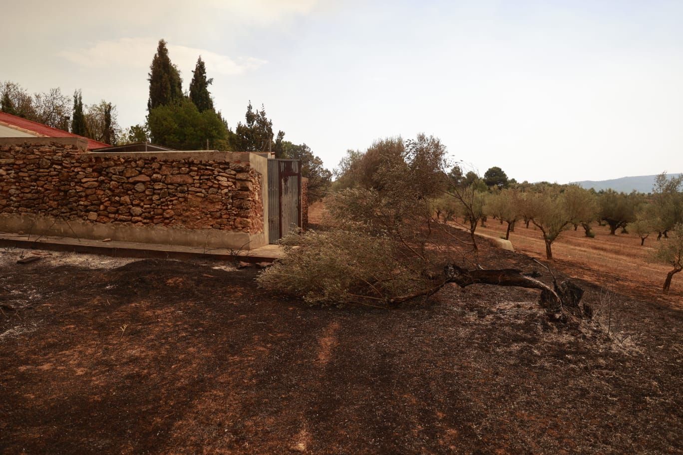 El incendio de Bejís, en imágenes