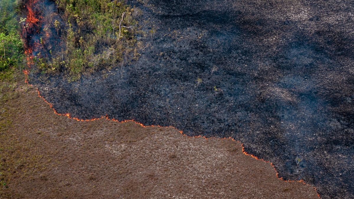Incendio en la Amazonía brasileña.