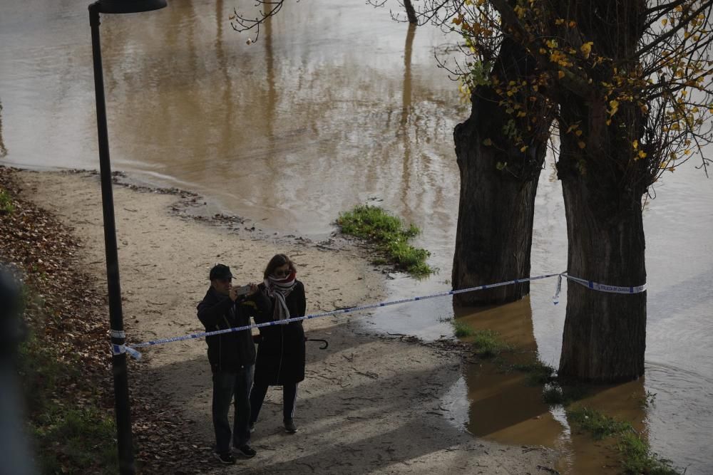 Crecida del río Duero en Zamora capital.