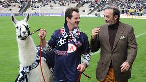 La llama Serge fa la volta d’honor al camp abans del Girondins-Nantes.