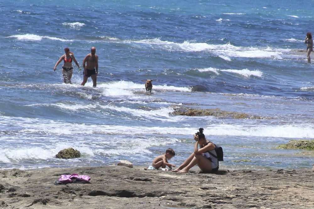 Los bañistas están acudiendo con perros a Punta Margalla y Cala del Moro, las dos playas autorizadas para perros, sin que el Ayuntamiento las haya señalizado todavía.