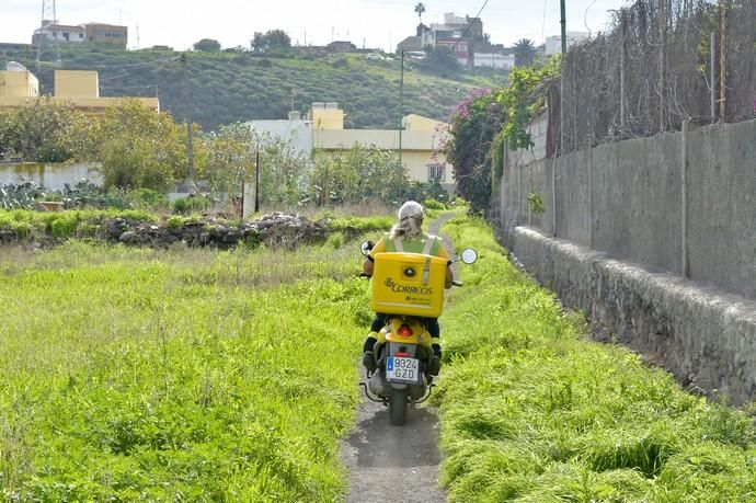 07-12-2018 LAS PALMAS DE GRAN CANARIA. Servicio ...