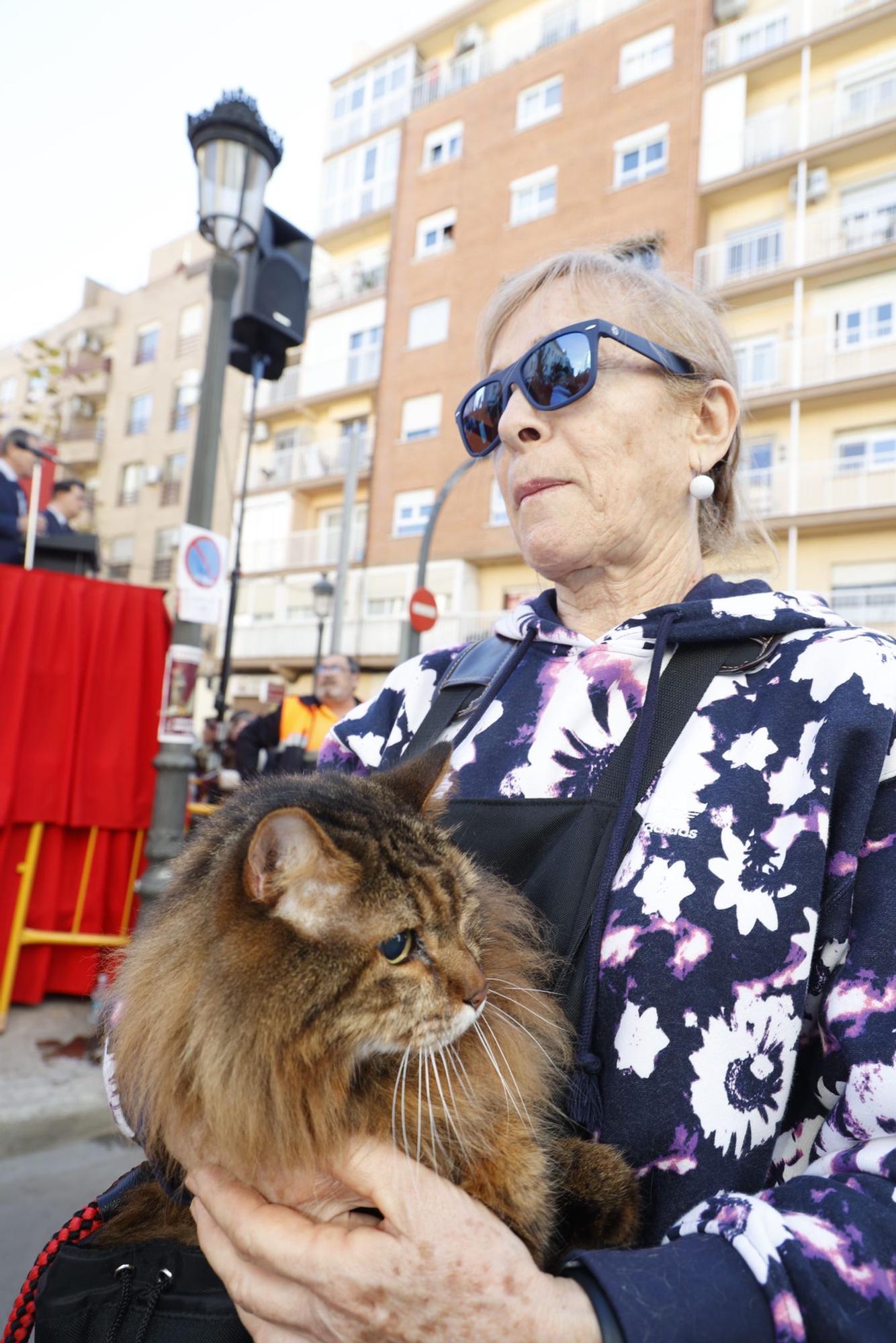 Búscate en la bendición de animales de Sant Antoni de València