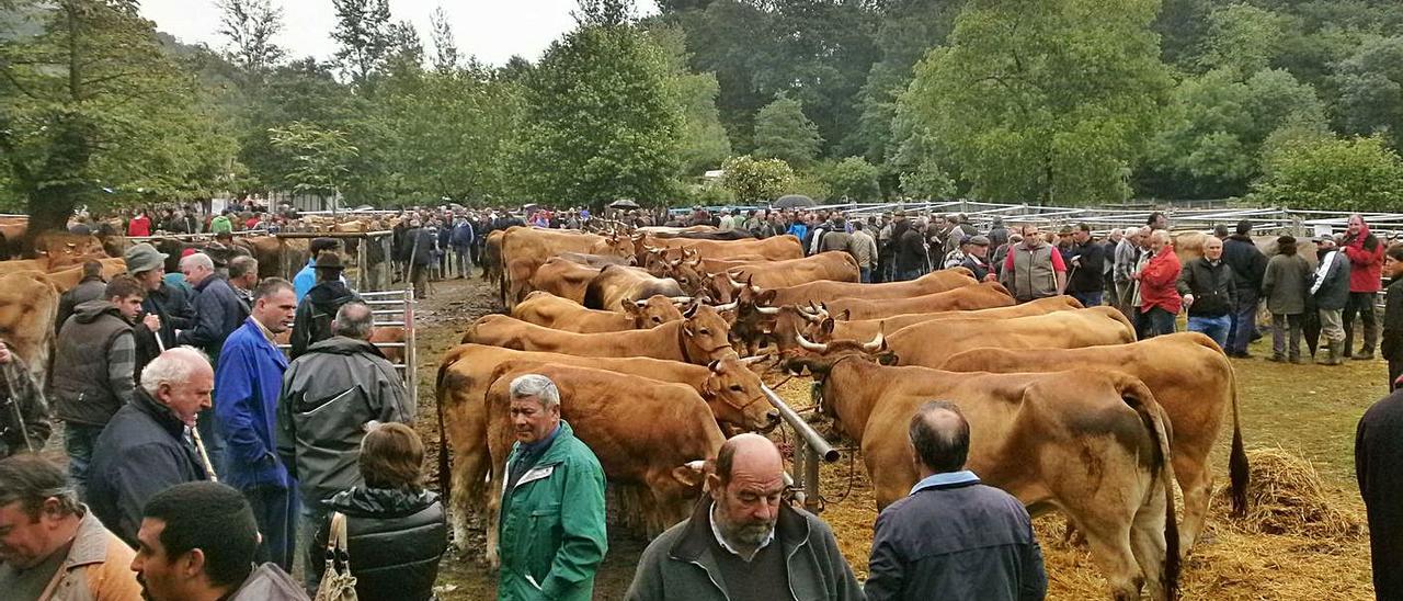 Una edición anterior de la Feriona de Corao. | LNE