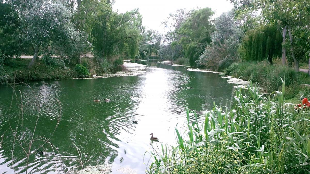 Participa con &#039;Mediterráneo&#039; en el concurso &#039;El rincón más bonito de Castellón&#039;