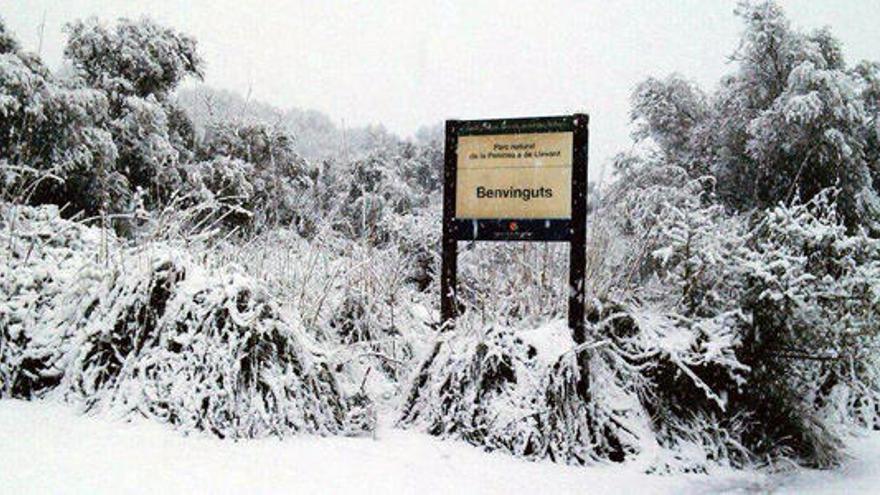 El Parc de Llevant cubierto de blanco