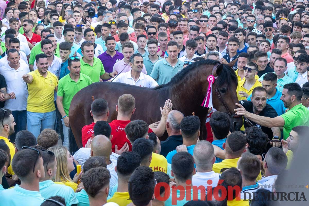 Entrega de premios del concurso morfológico de los Caballos del Vino de Caravaca