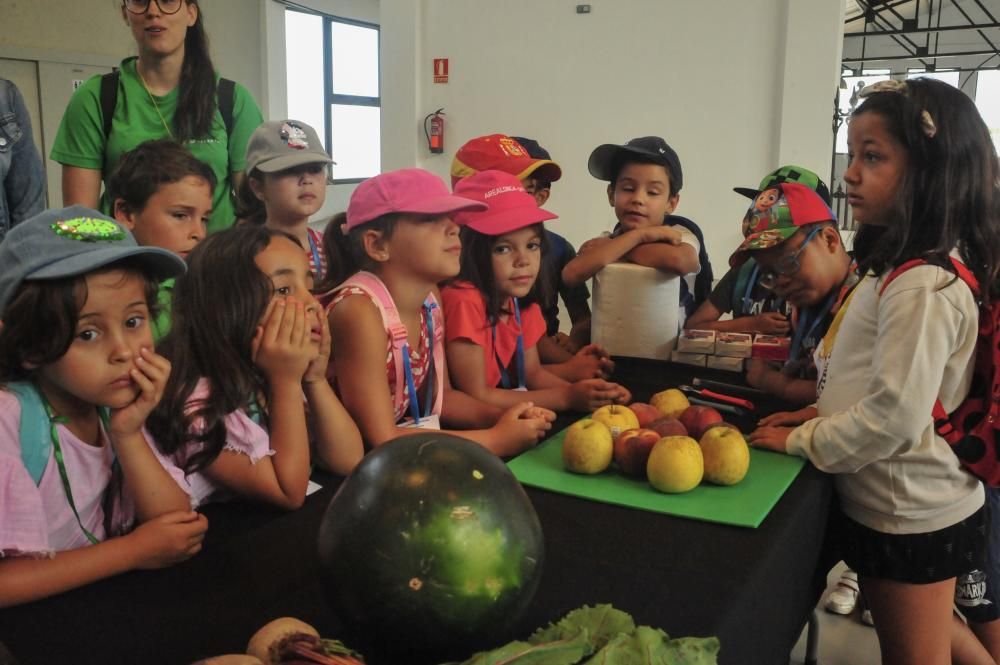 Compras y cocina con los más pequeños en el mercado de Vilagarcía.