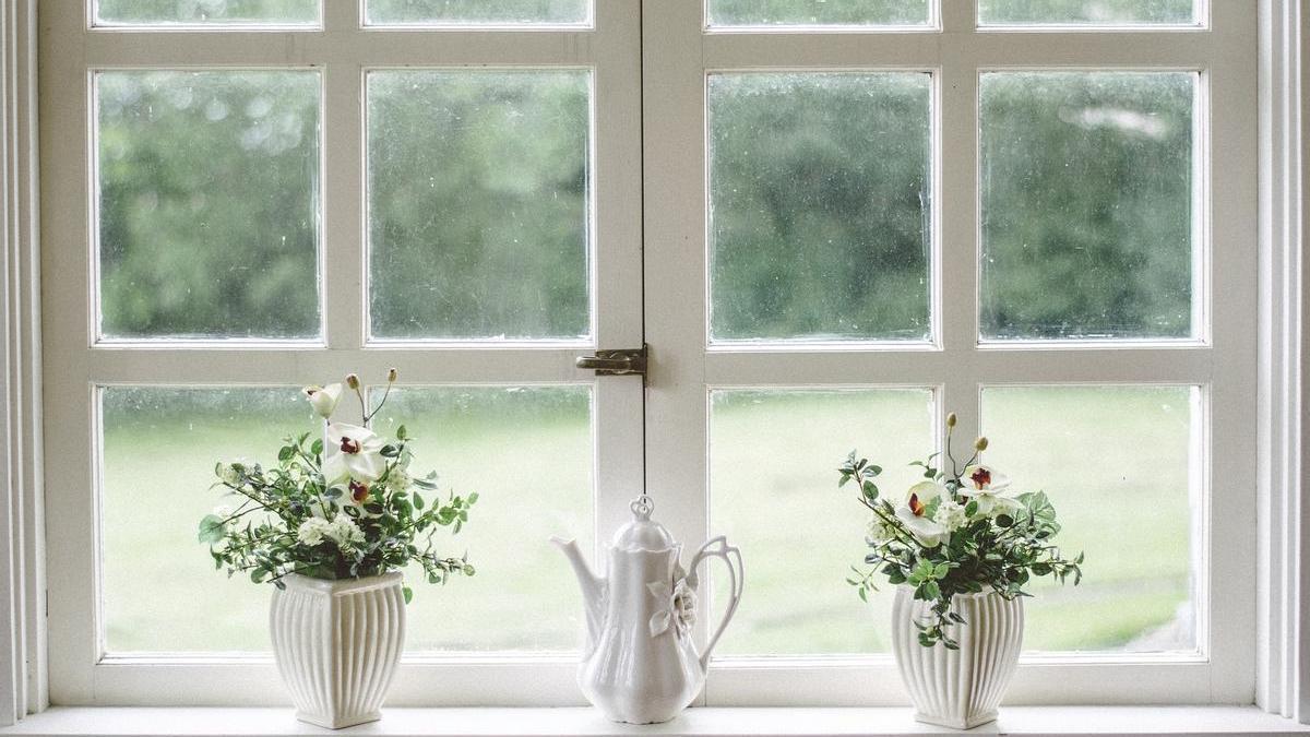 Esta es la planta que tienes que colocar en la ventana para evitar que entren mosquitos