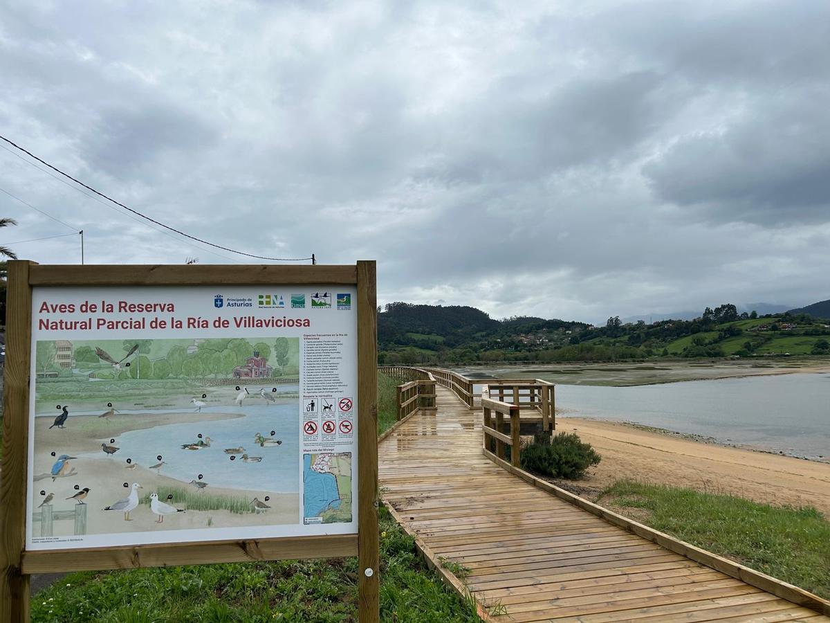 EN IMÁGENES: Abierta al tránsito la pasarela que une Rodiles y Misiegu en Villaviciosa EN IMÁGENES: Abierta al tránsito la pasarela que une Rodiles y Misiegu en Villaviciosa