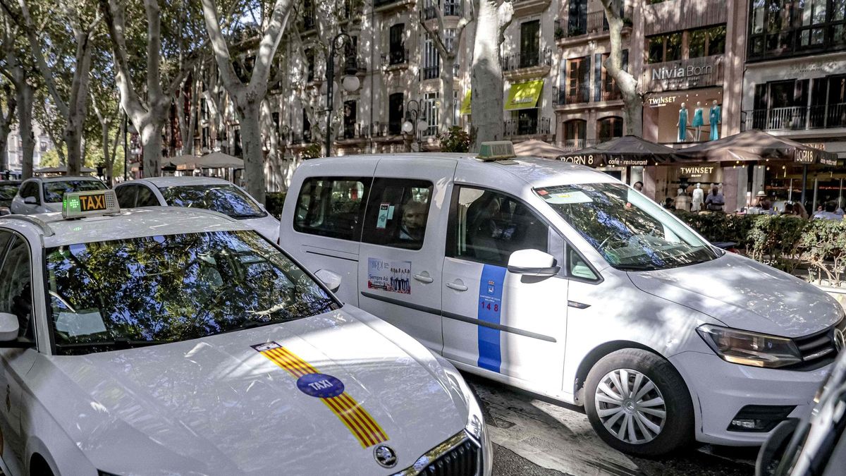 La tarifa única del taxi elaborada por el Govern será presentada hoy.