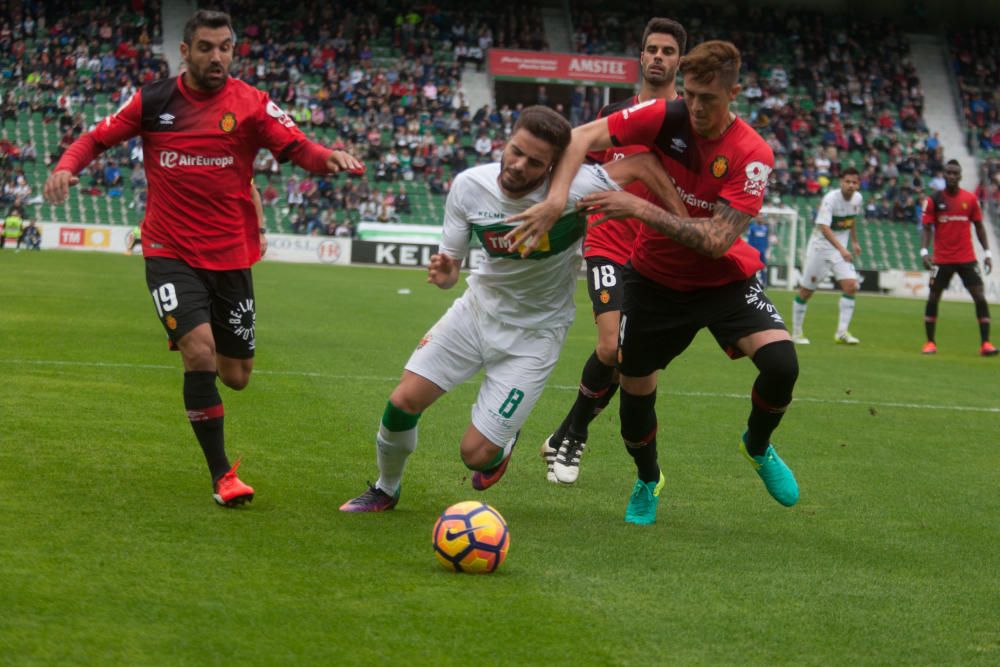 Elche - Mallorca