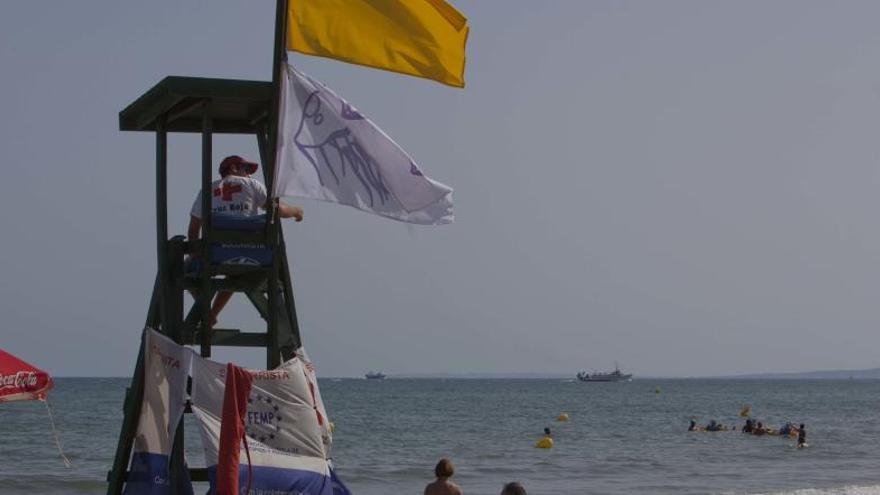 Imagen de la playa de Levante con la bandera izada