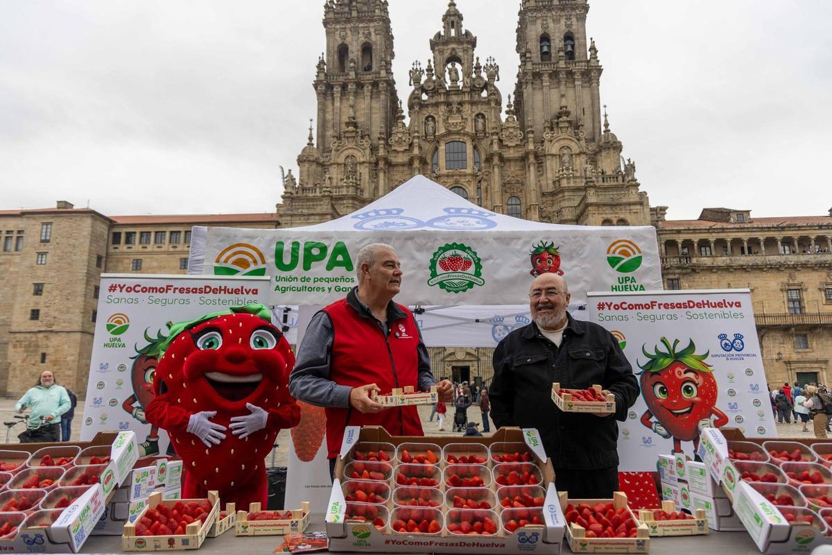 Reparten fresas de Huelva en la plaza del Obradoiro para promover su "calidad y garantía"