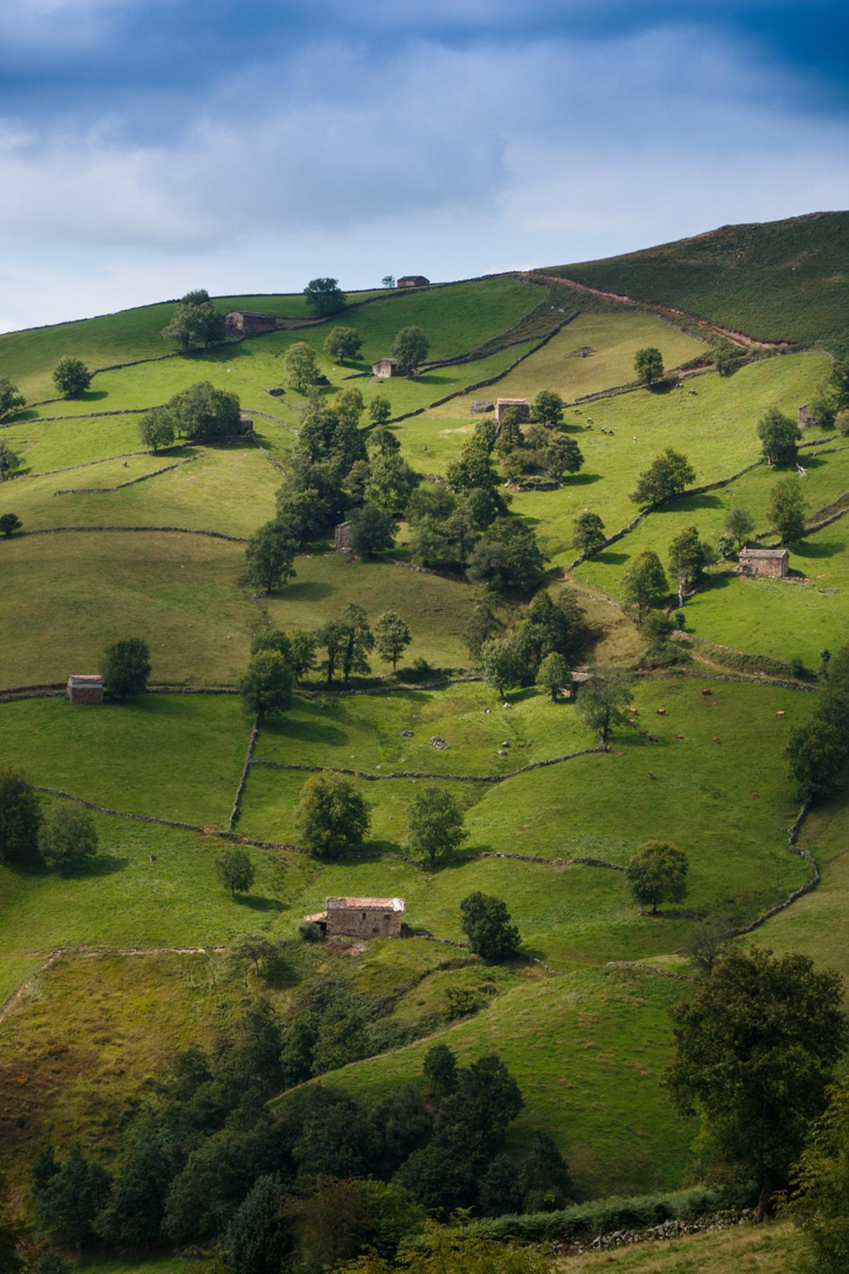 Si decides explorar la zona, estarás a un paso de Vega de Pas y de sus verdes prados