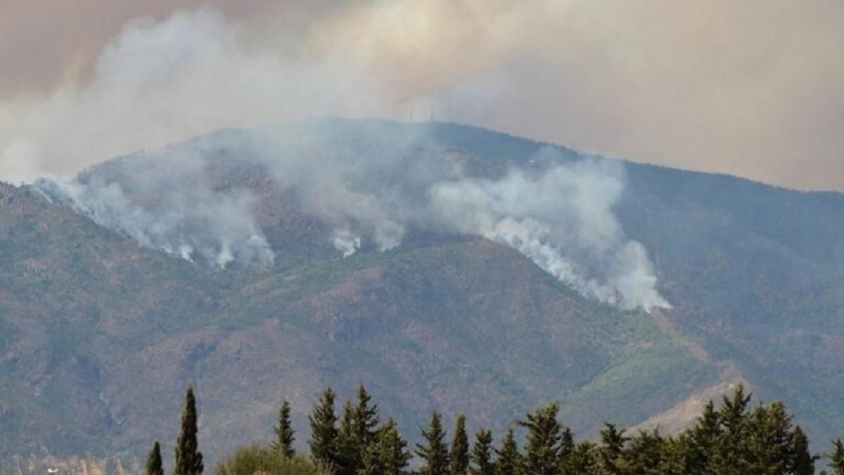 Incendios forestales: ¿qué consecuencias tienen sobre nuestra salud?