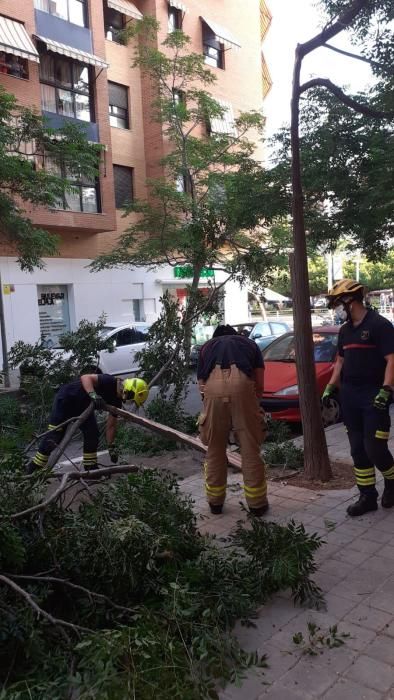 Los bomberos desbrozaron el árbol y la ramas, que se encontraban obstaculizando la calzada.