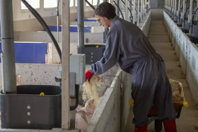 Vall Companys lanza una bolsa de empleo para granjeros