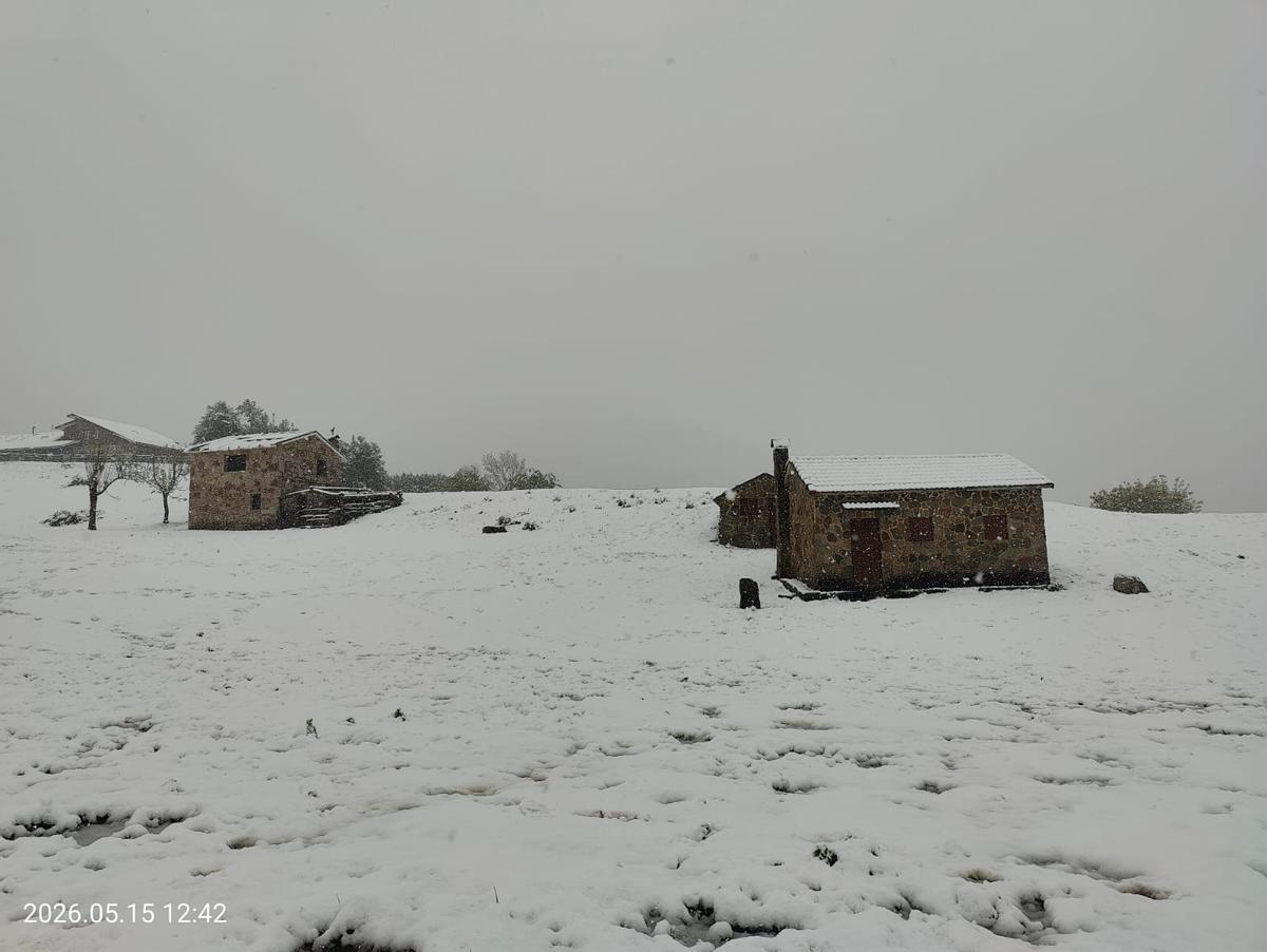 La vega de Brañagallones, completamente nevada.