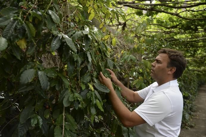 FINCA BODEGA LOS BERRAZALES