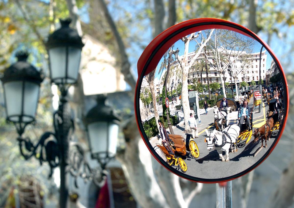 Coches de caballos en el centro de Sevilla