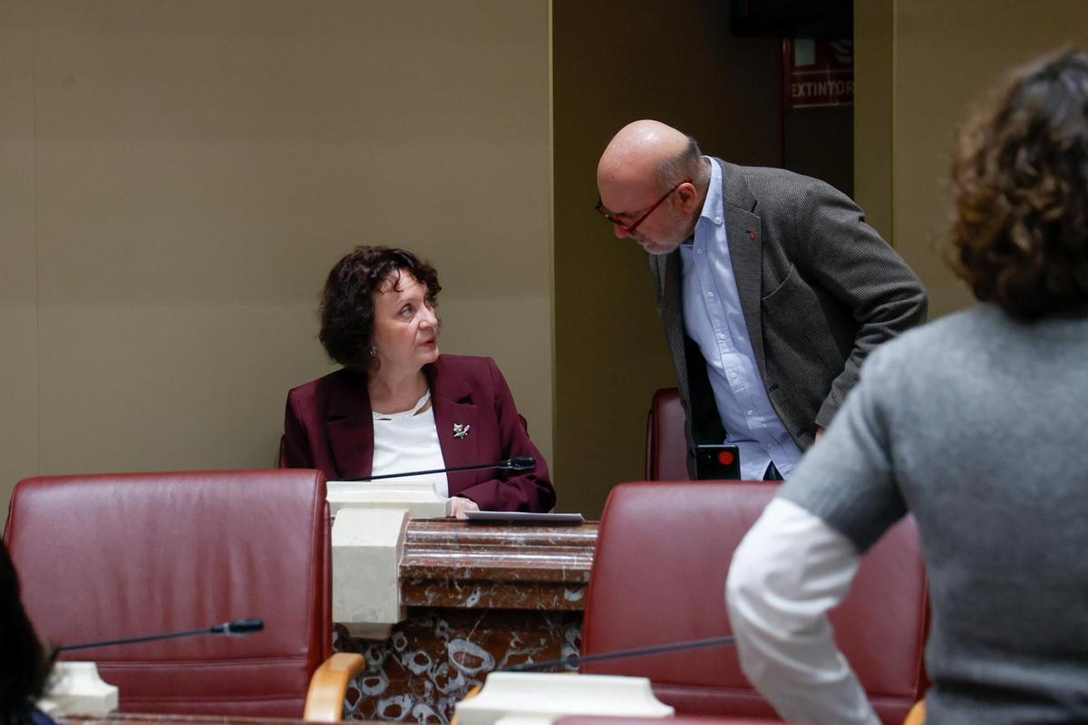 Los diputados María Marín (Podemos) y José Luis Álvarez-Castellanos (IU-V).