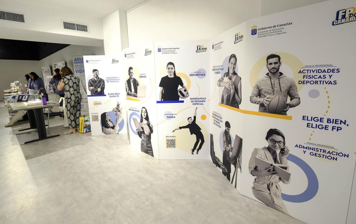 Charter 100 Canarias y el Servicio Canario de Empleo impulsan 'Conecta con tu futuro'