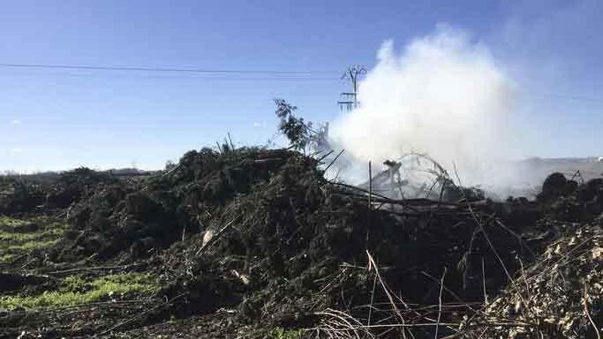 Imagen de la quema de restos de podas en el pago de Cenvicos tomada el jueves.