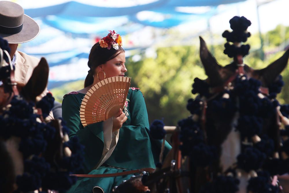 Caballos en el Real de la Feria