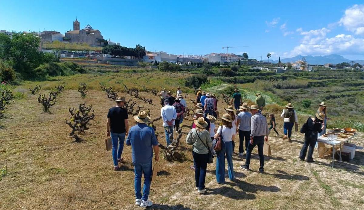 El cautivador paisaje rural del Poble Nou de Benitatxell