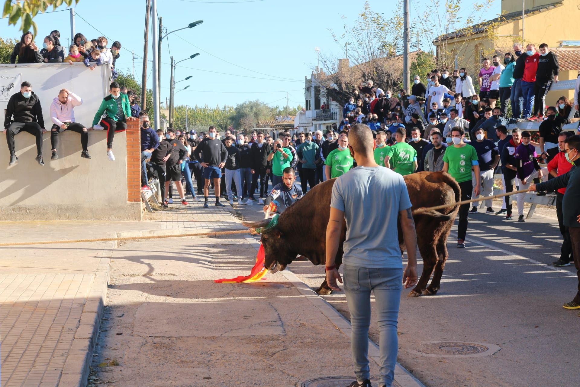 Los mejores detalles del primer 'bou en corda' de Santa Bárbara tras el covid