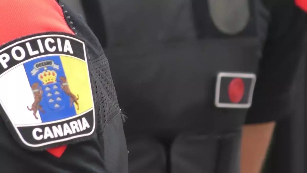 Cuatro mandos de la Policía Canaria, apartados tras la denuncia de una agente por acoso laboral