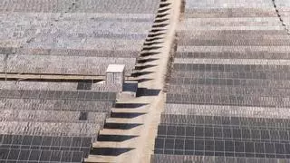 Más de 300 firmas contra el "boom" de las plantas solares en Elche