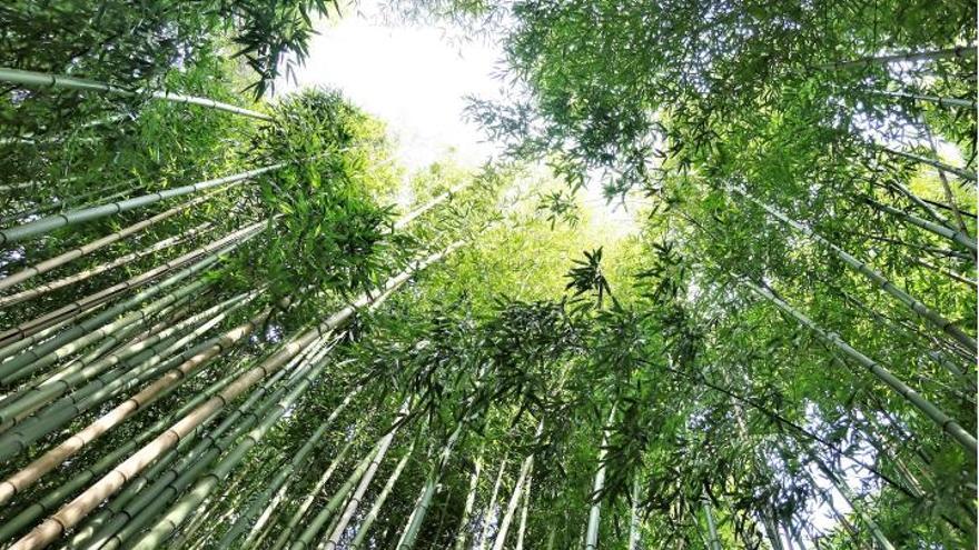 Fundación Ibercaja - El lujo de ir despacio. Encuentra tiempo para ti y resetea con armonía