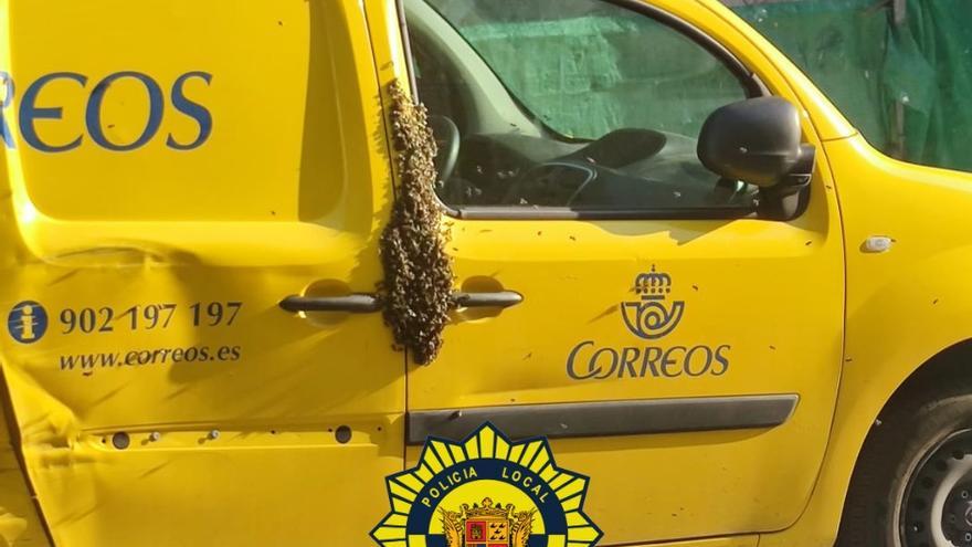 Abejas y carteros en Novelda