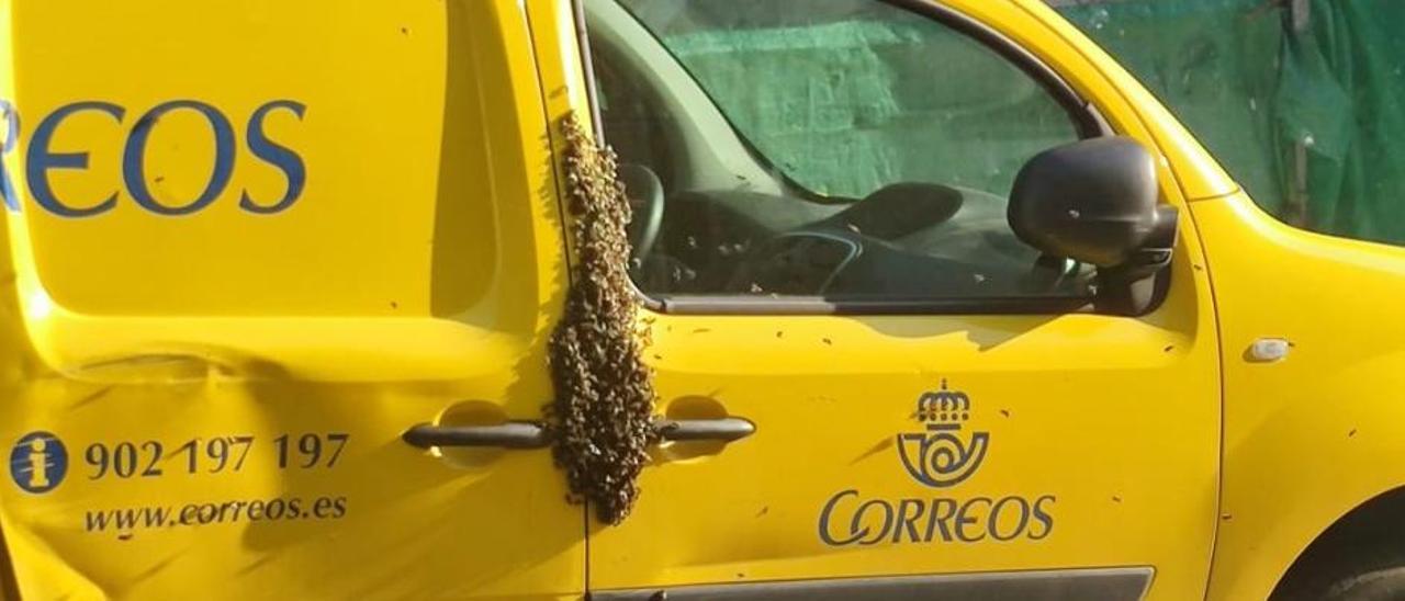 Las abejas en la puerta del acompañante del vehículo de Correos en Novelda.