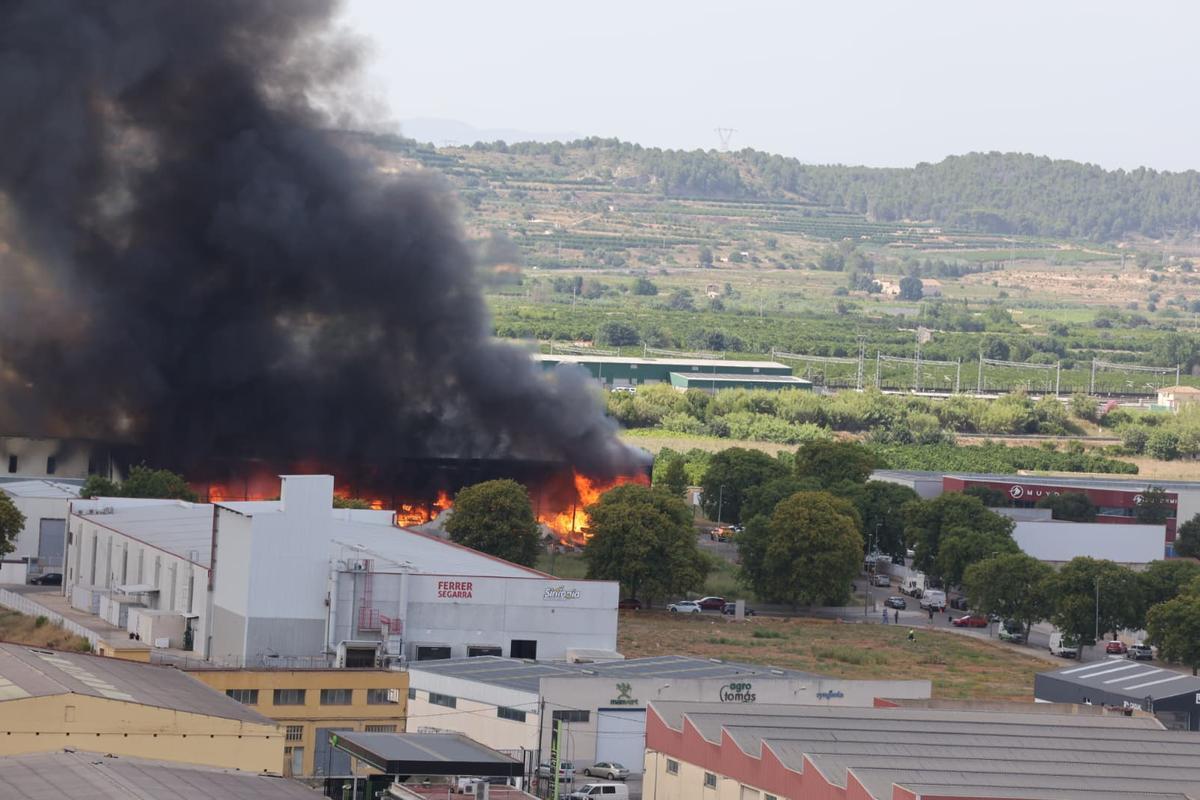 Imagen de la nave industrial arrasada por las llamas en Xàtiva.
