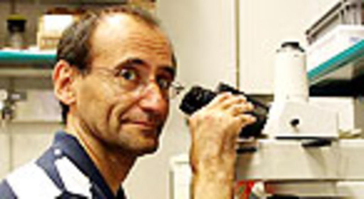 Jordi Casanova. Jordi Casanova.
