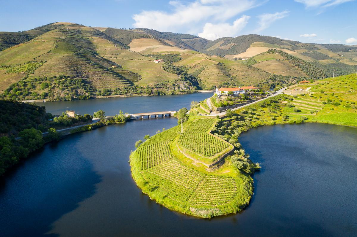 La Ribera del Duero es una de las regiones naturales más espectaculares