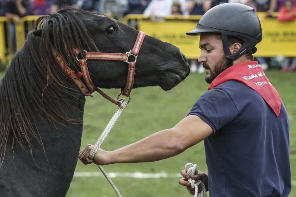 Fiesta del Asturcón 2017