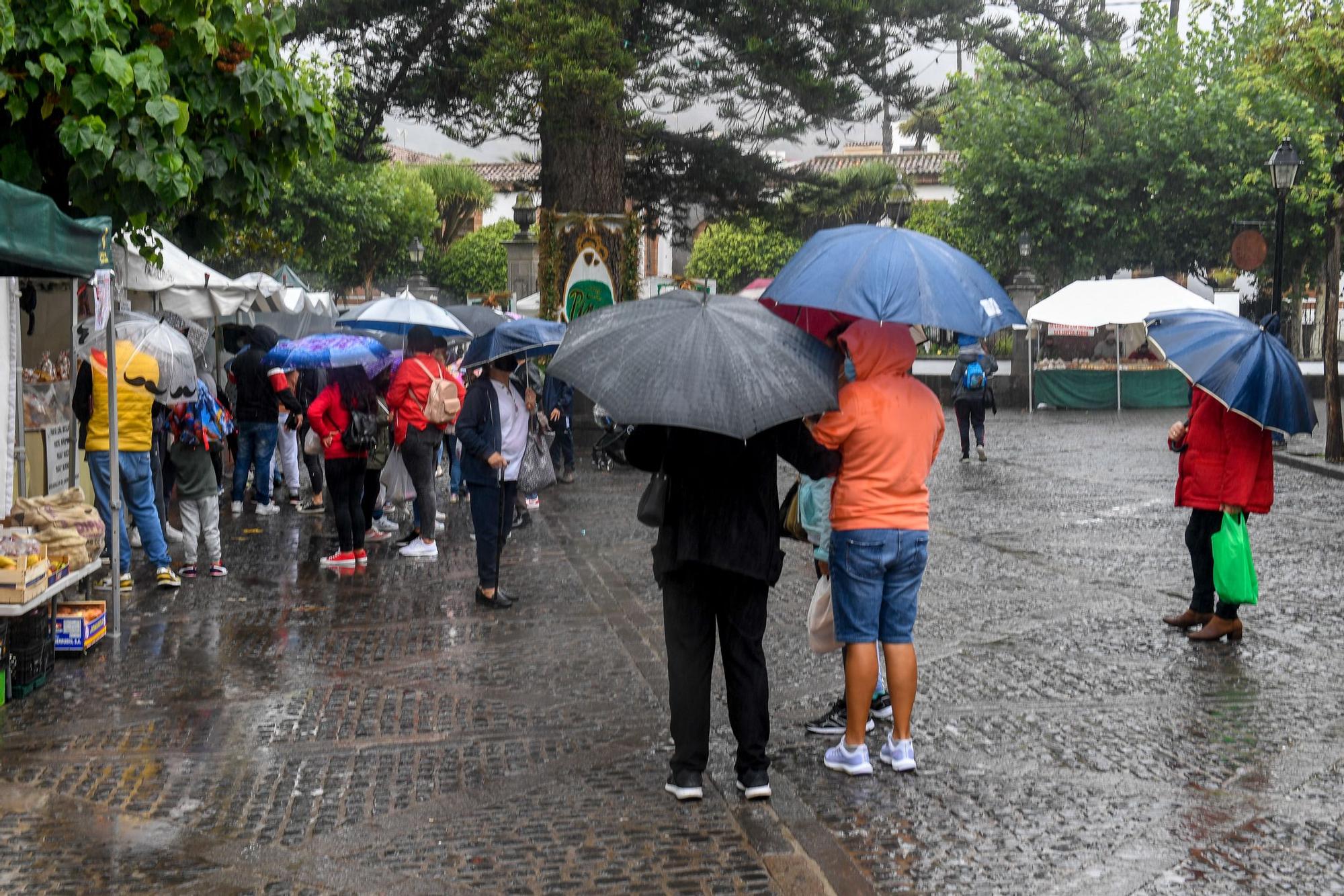 Reapertura del mercadillo de Teror