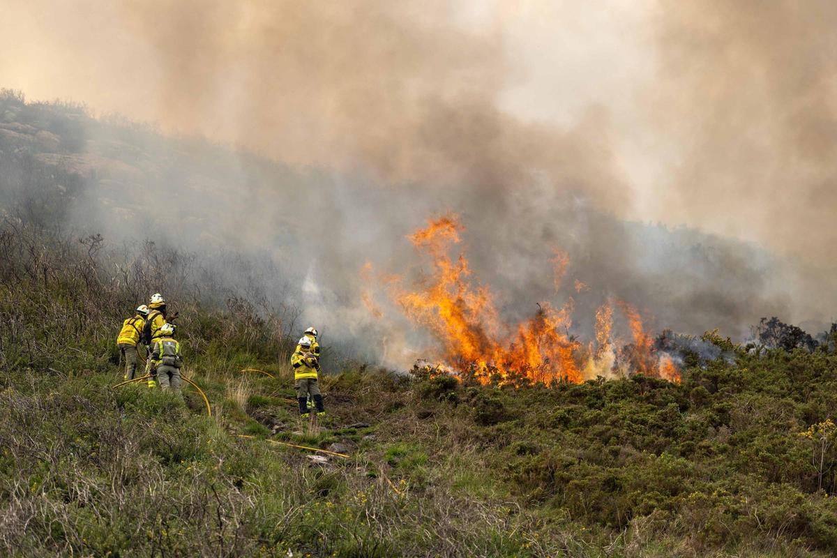 El fuego, un aliado en la prevención de las llamas: «Reduce la carga y nos da margen de seguridad