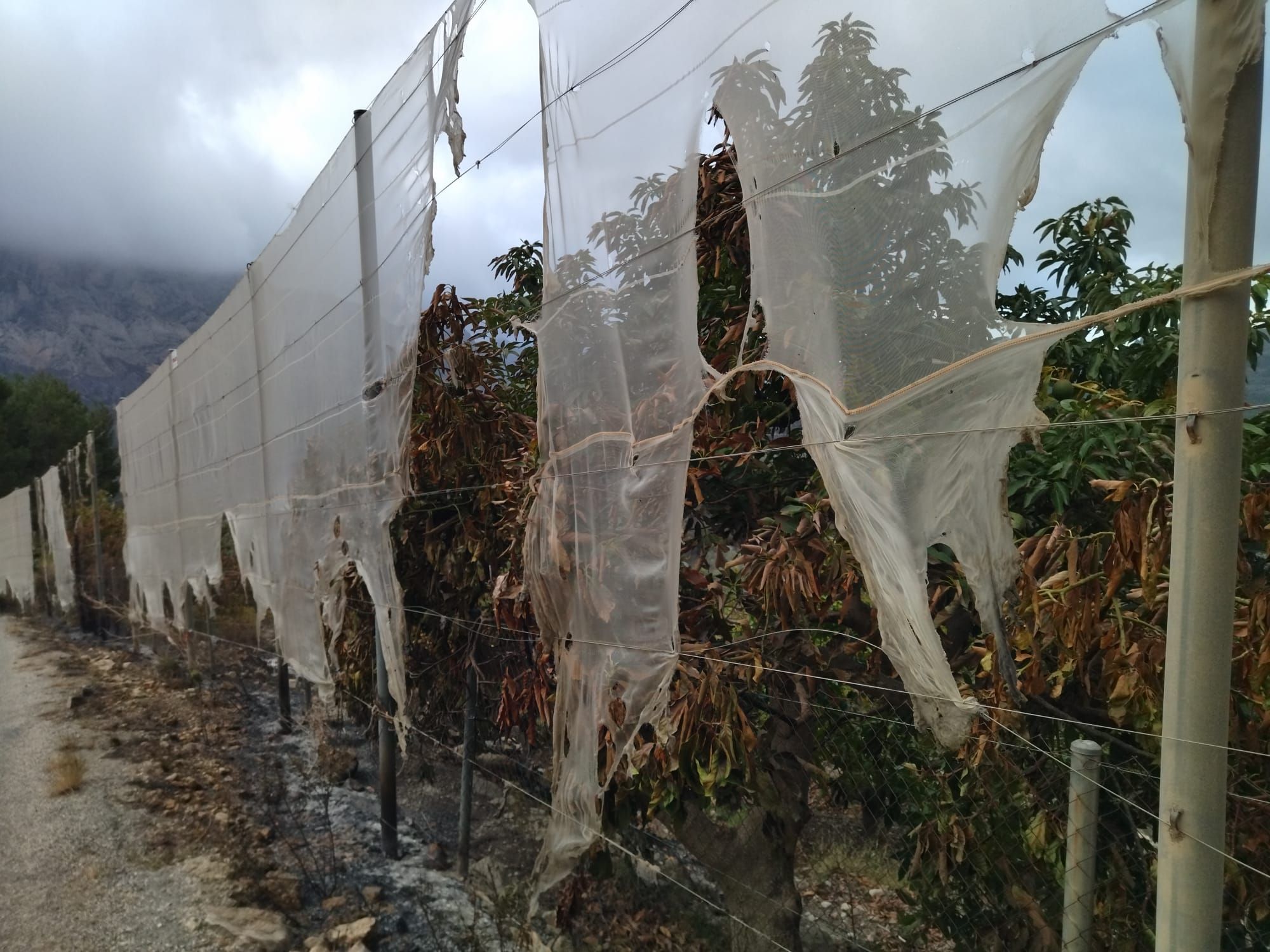 La destrucción del incendio de Tàrbena, en imágenes