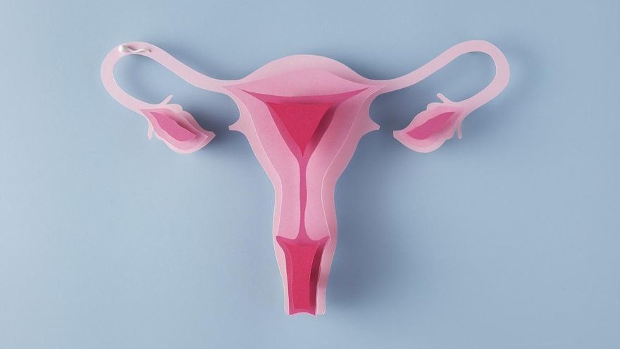 Test de Papanicolau: así es el avance que ha reducido las muertes del tercer cáncer femenino