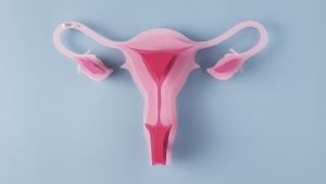 Los principales avances en cáncer ginecológico se presentan en Madrid