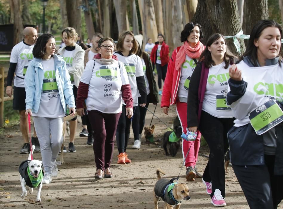 Cerca de 300 mascotas y sus dueños desafiaron a la lluvia y al frío en Castrelos en la Can We Run, organizada por Prensa Ibérica y FARO.