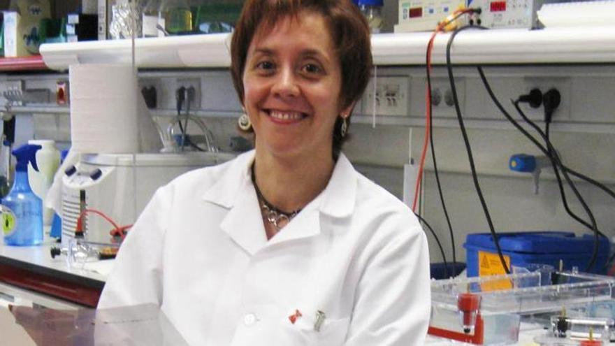 ¿Quién es Marisol Soengas, la investigadora con cáncer que desactivó la resistencia de los melanomas a la quimioterapia?