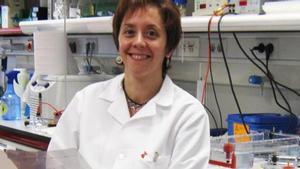 La investigadora Marisol Soengas en su laboratorio del CNIO.