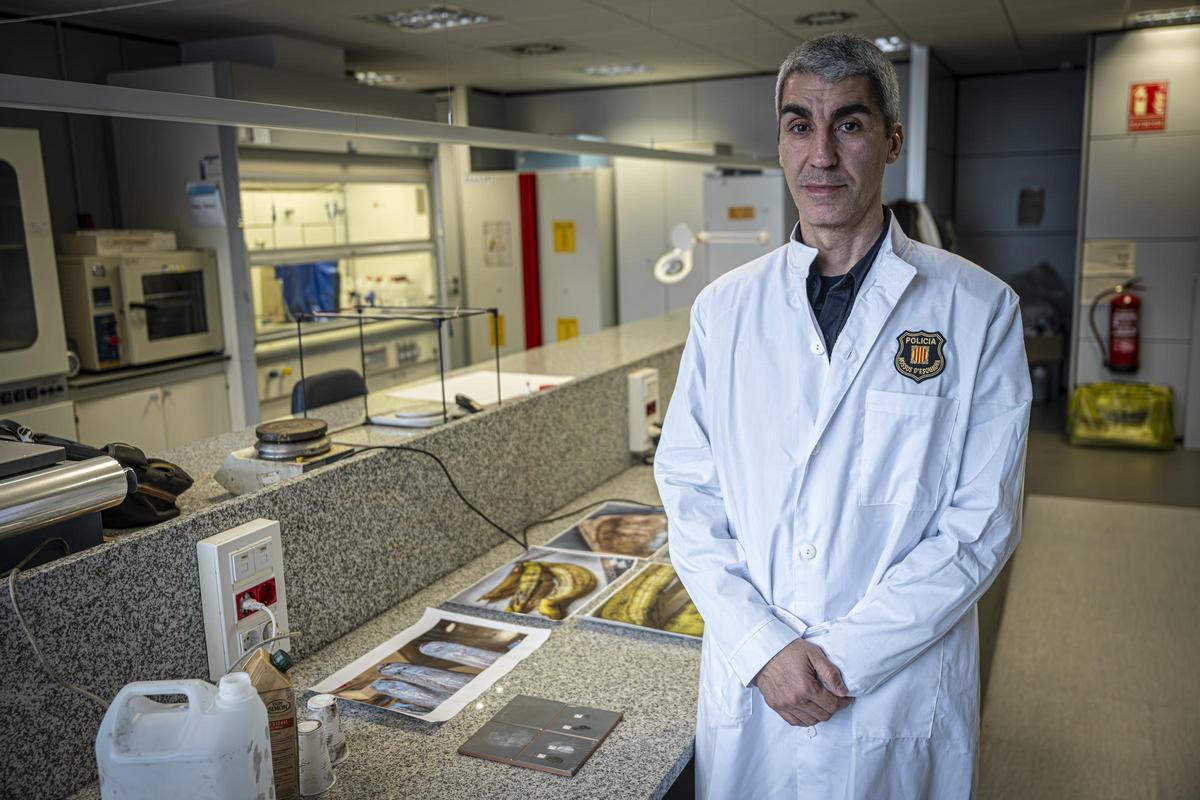 Subinspector Robert Trench, coordinador regional de la División de Policía Científica de Mossos